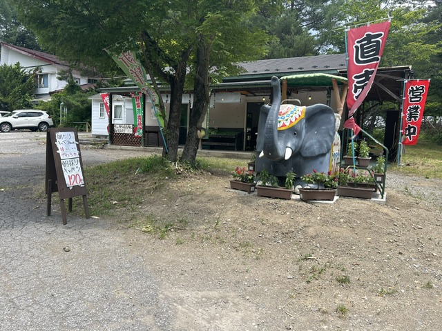 画像1
