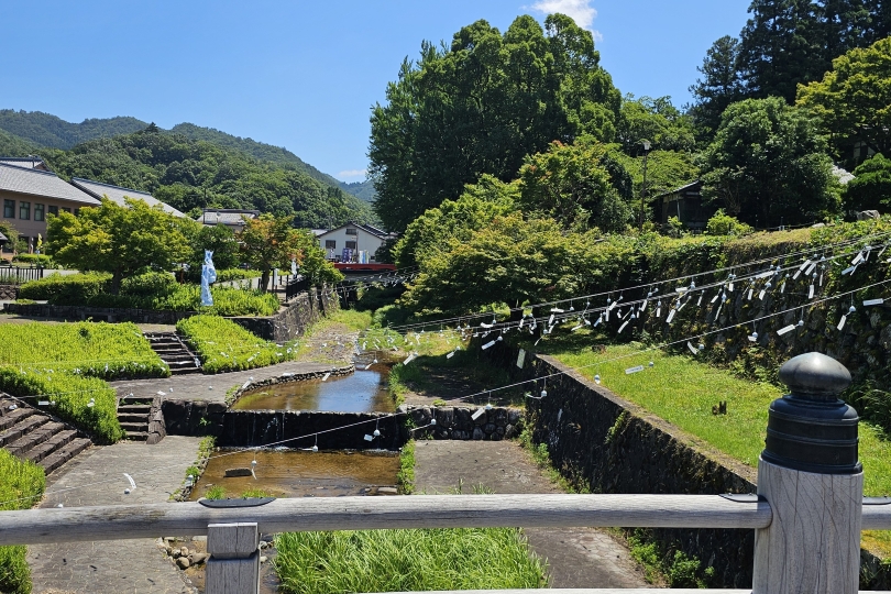 画像4