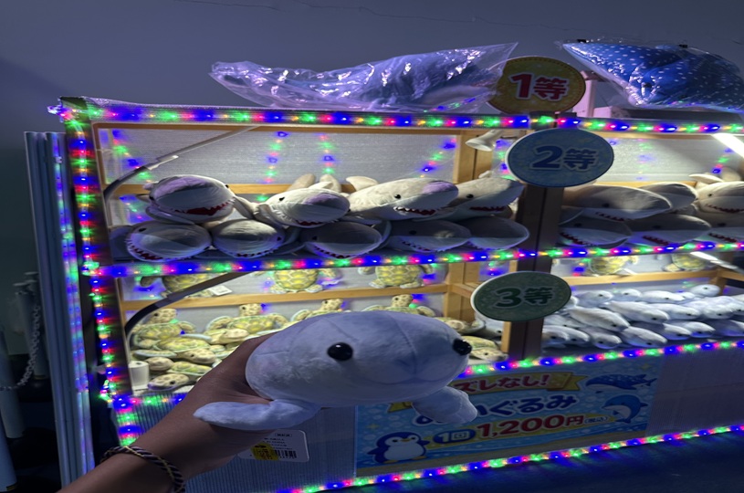 画像1