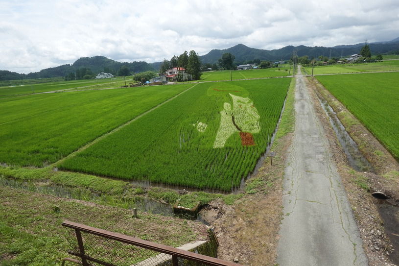 画像1