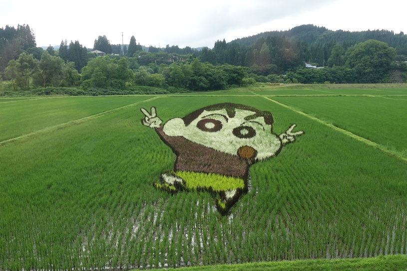 画像1
