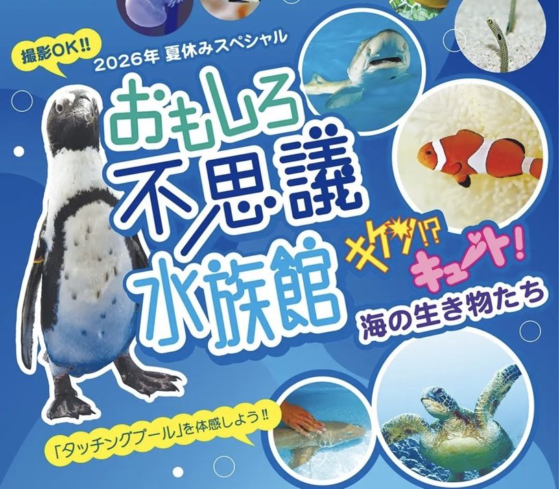 画像1