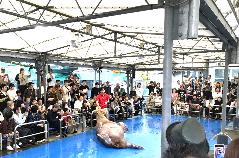 画像1