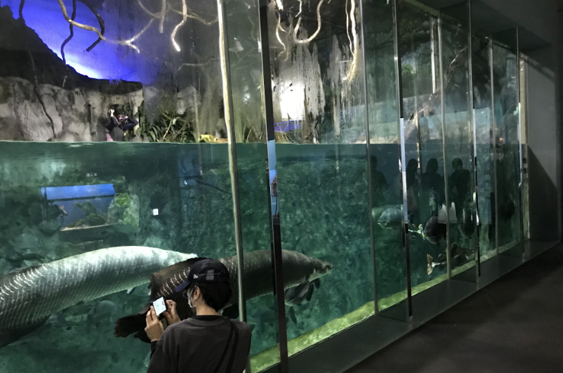 画像5