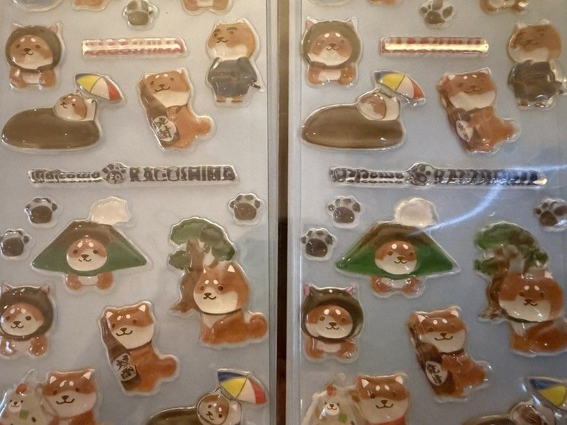 画像4