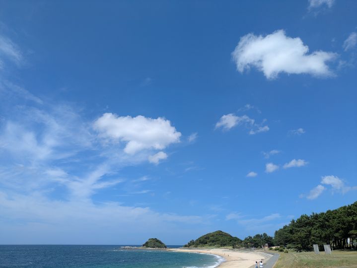 画像1
