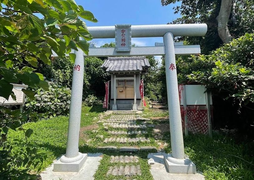 画像5