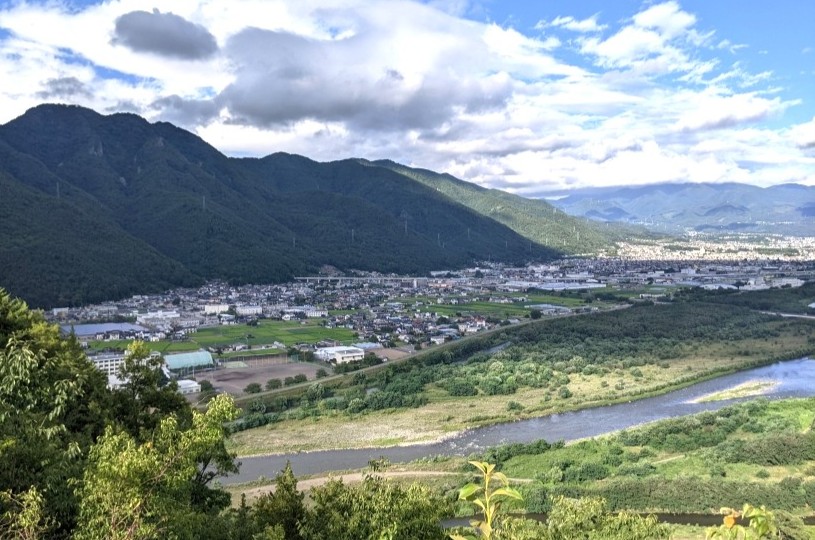 画像5