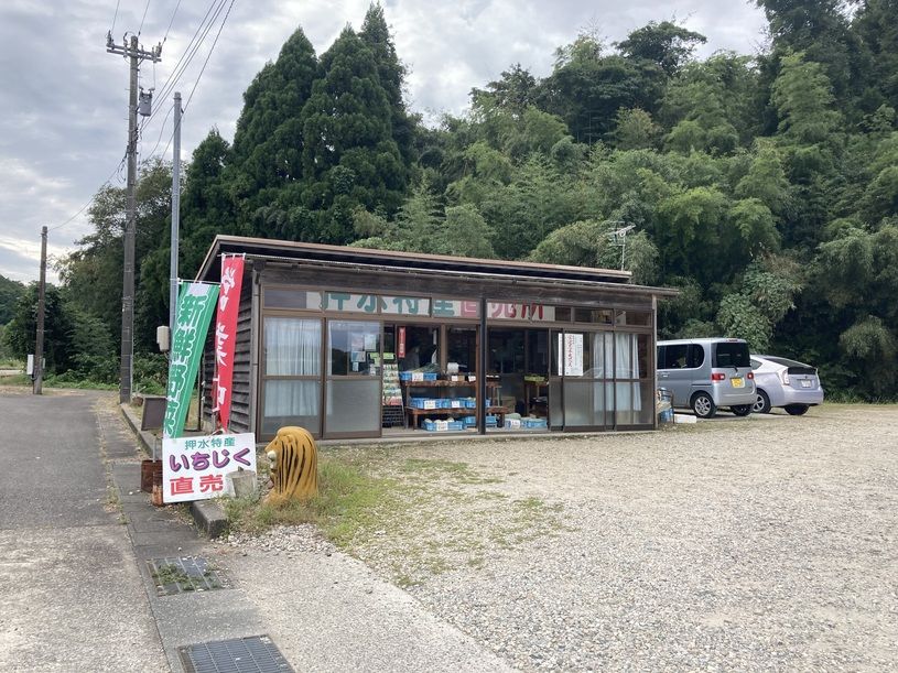 画像1