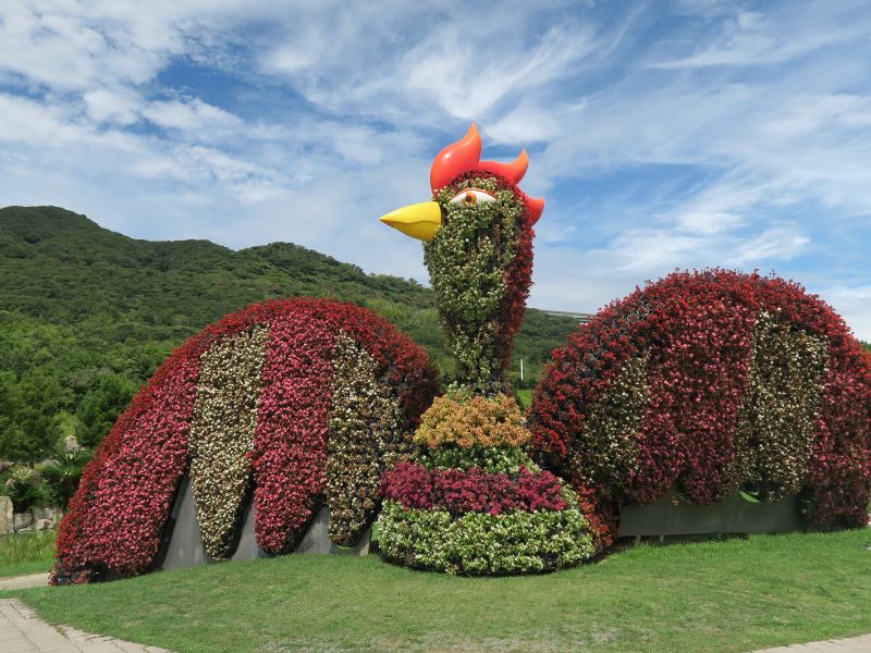 画像4