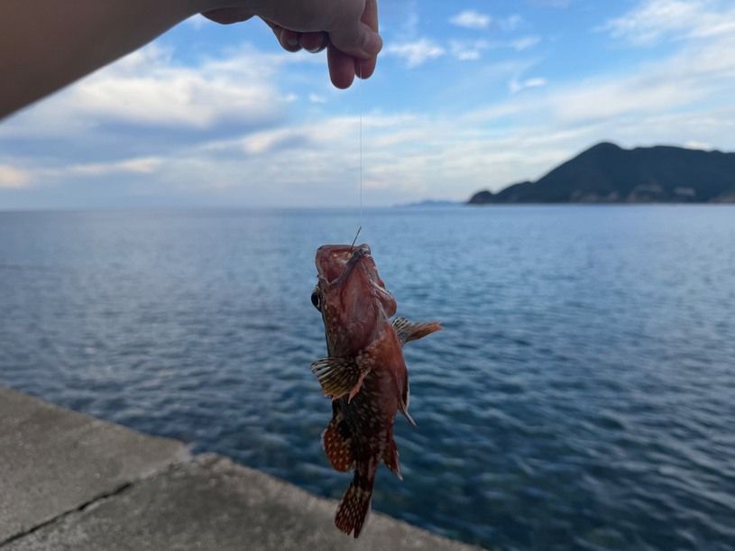 画像2