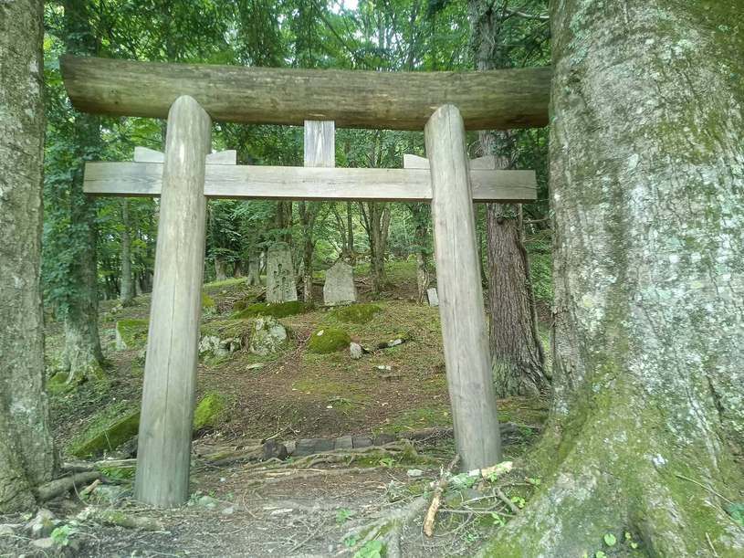 画像3