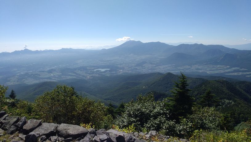 画像1