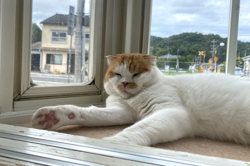 画像1