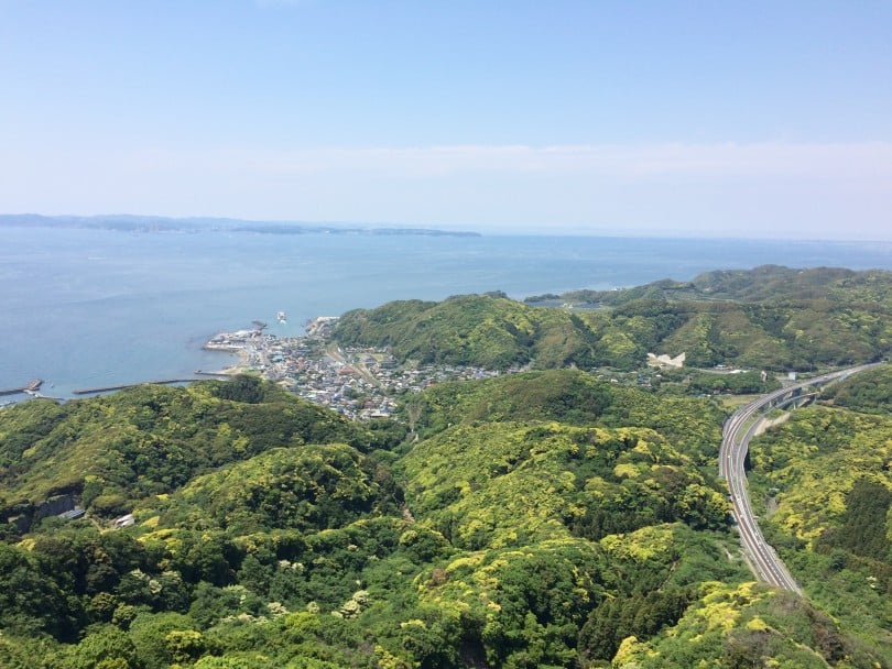 画像1