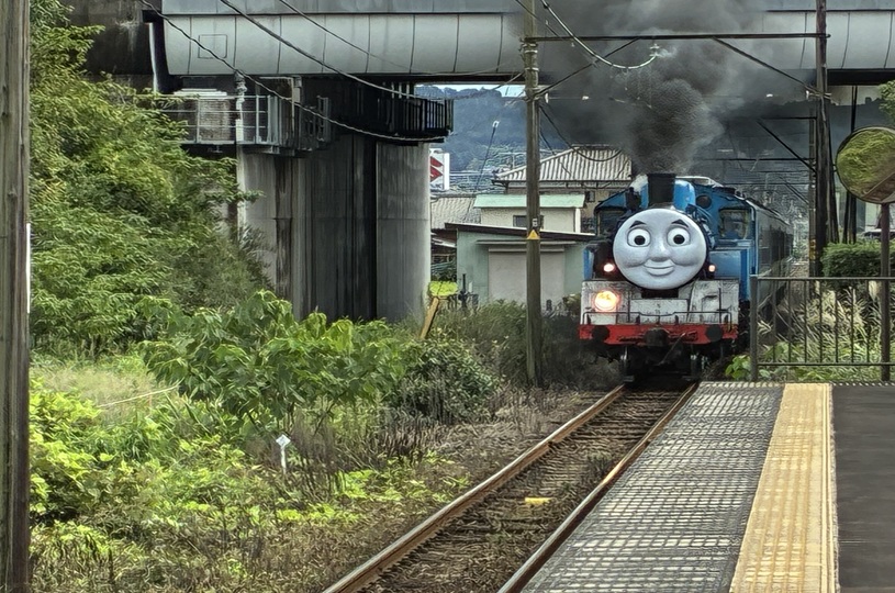 画像4