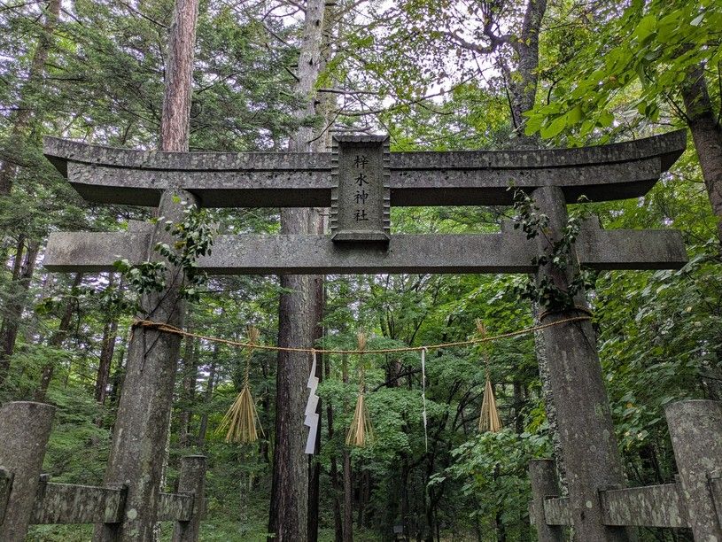 画像4