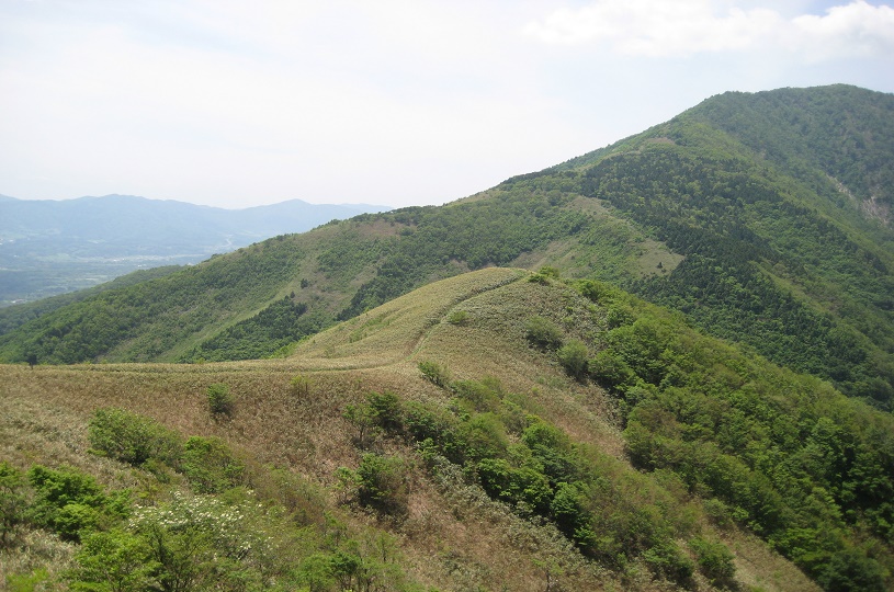 画像2