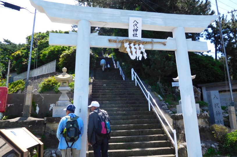 画像5