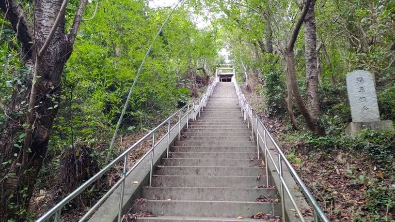 画像4