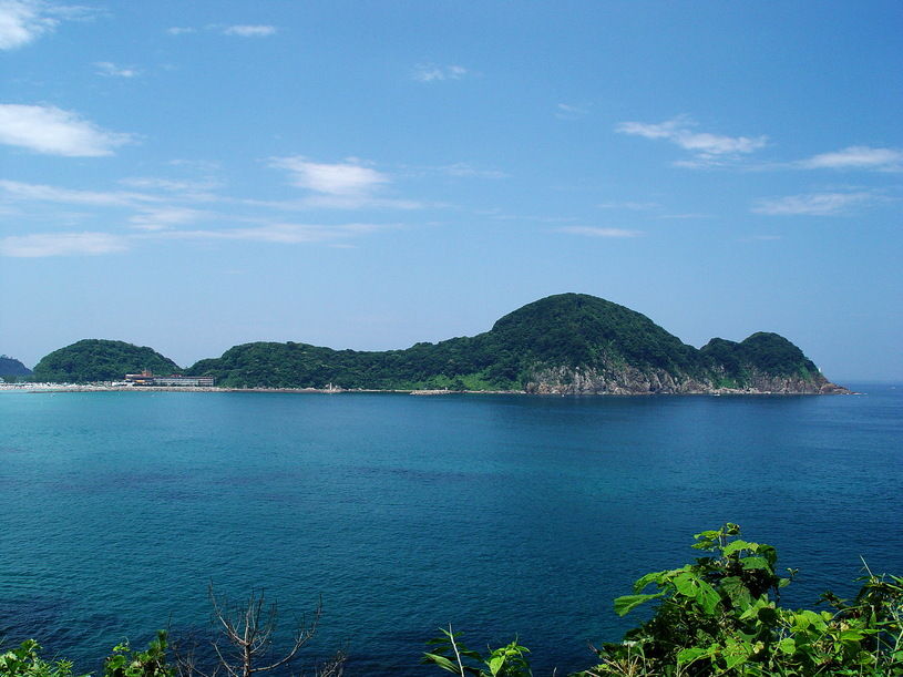 画像5
