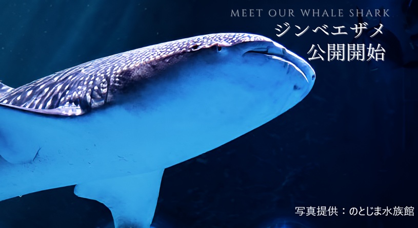 のとじま水族館
