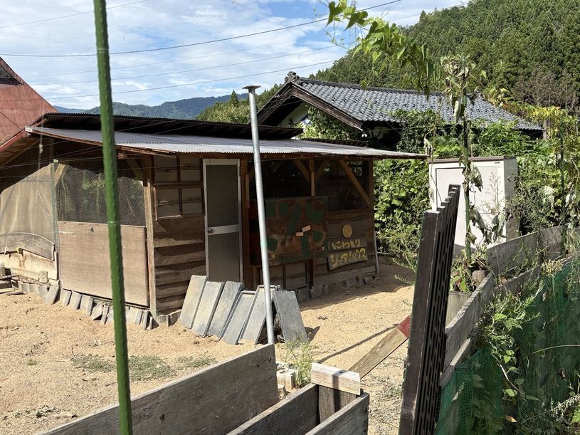 画像3