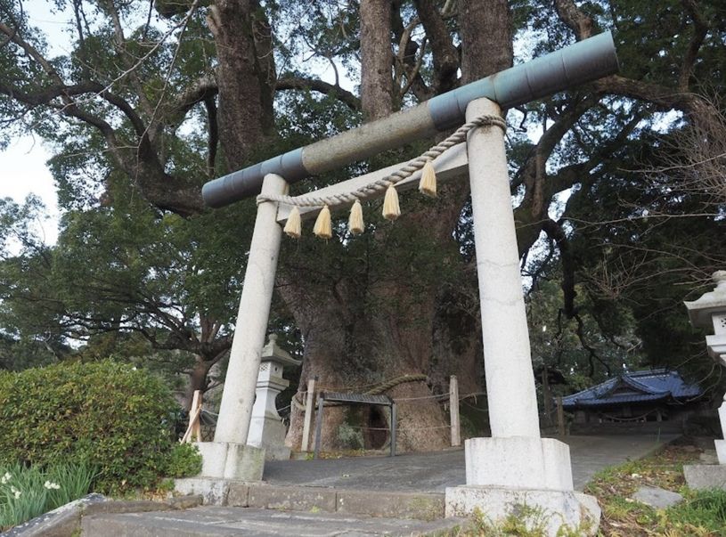 画像1