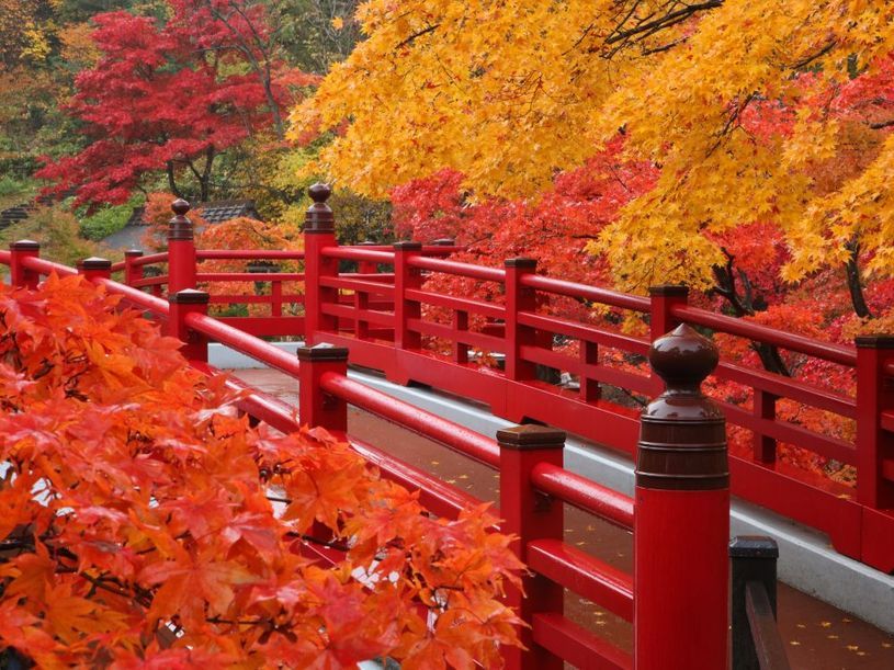 ~越後一ノ宮~弥彦神社