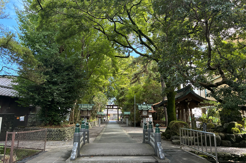 画像4