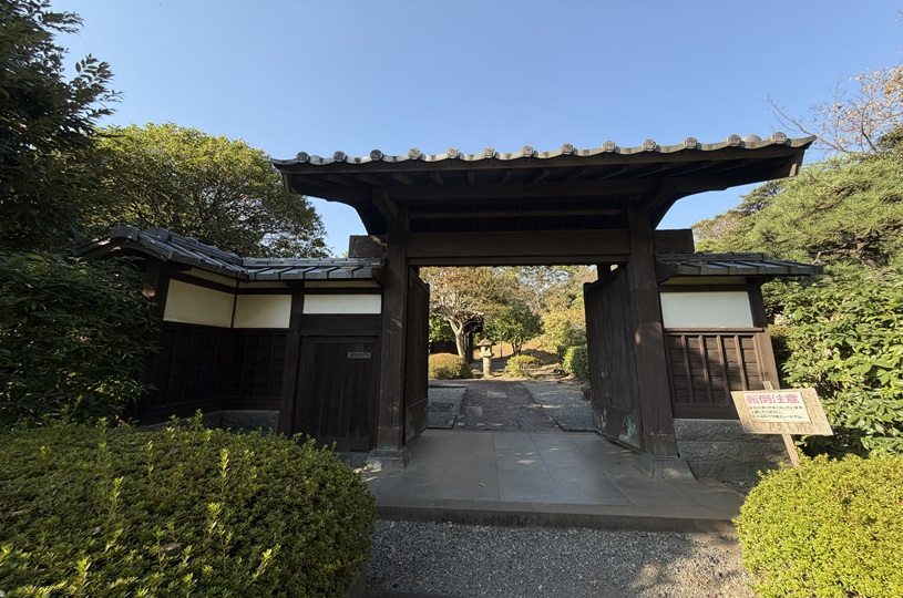 画像5