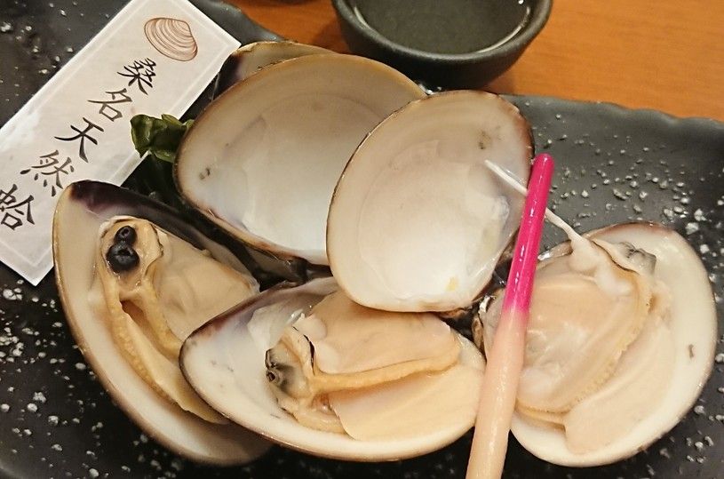 画像1
