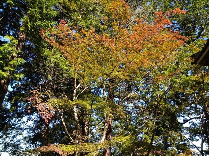画像3