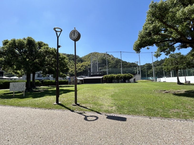 画像5