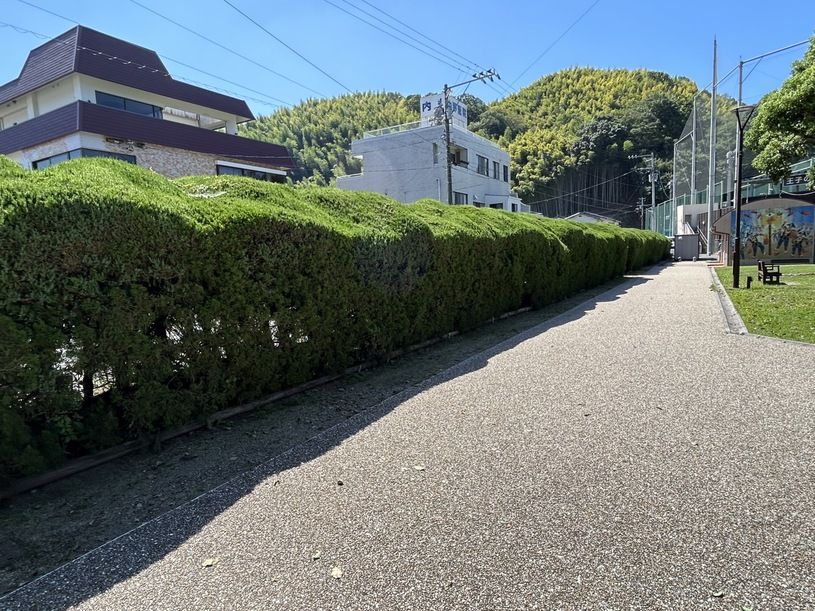画像3