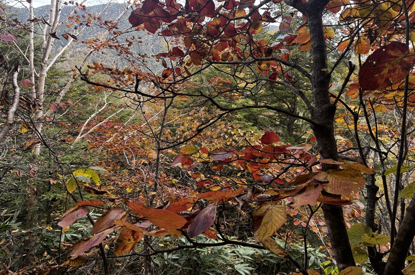 画像2