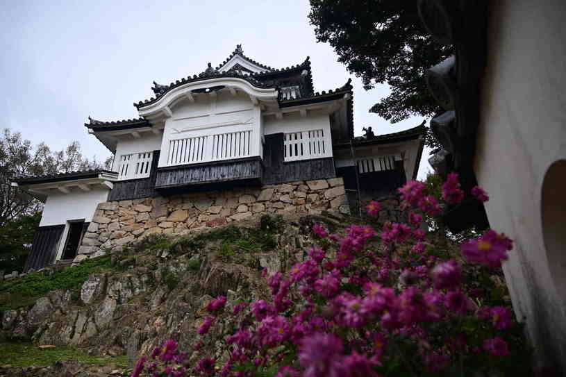 画像3