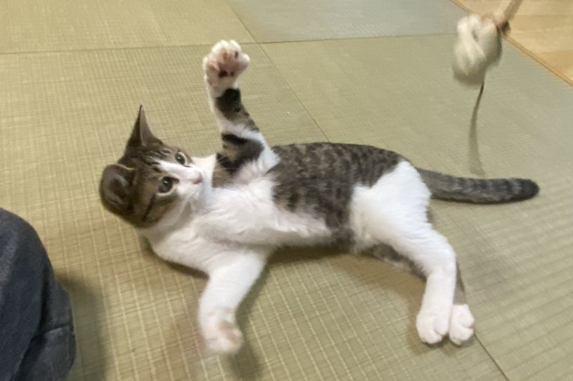 画像5