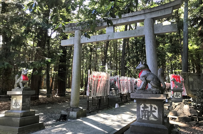 画像2