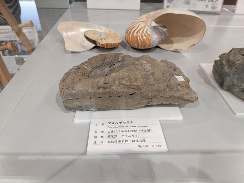 画像4