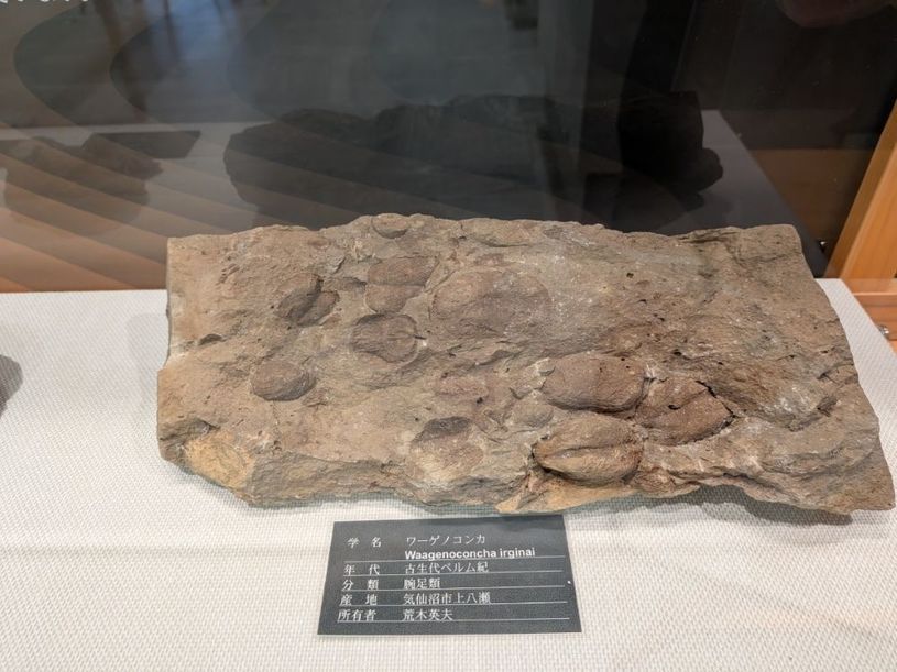 画像4