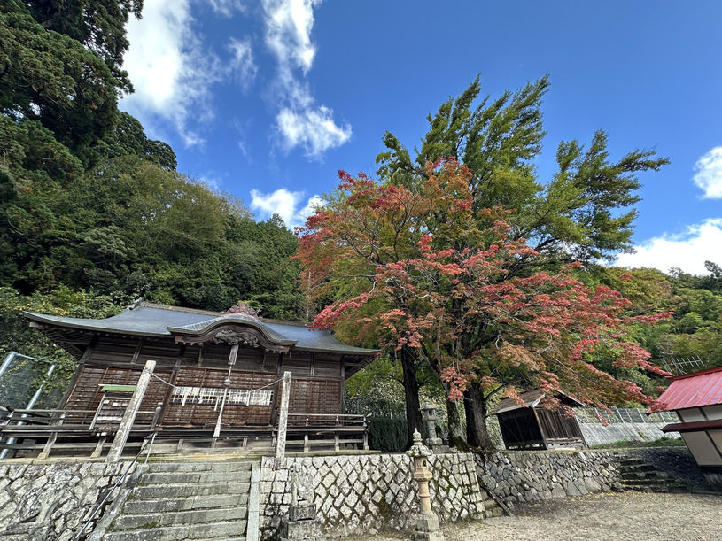 画像1