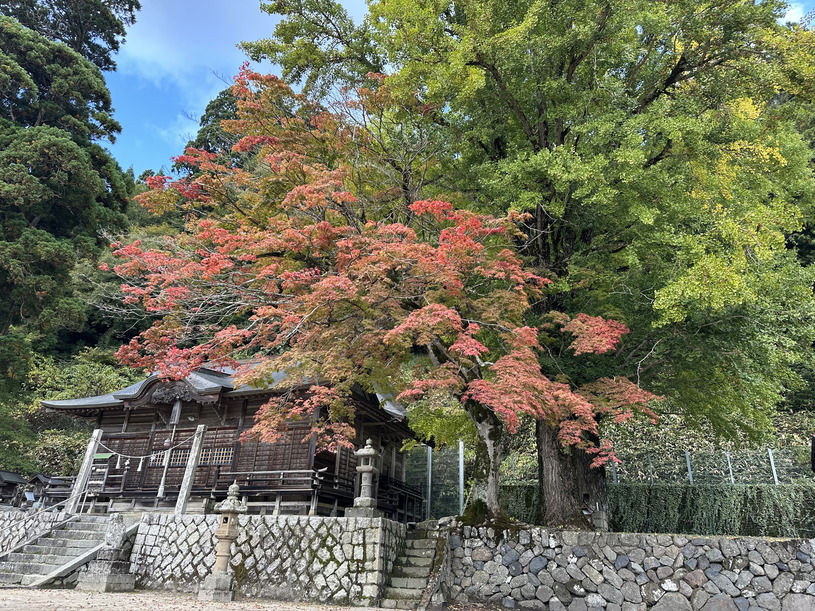 画像2