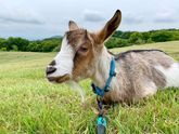 秘境中の秘境　吾妻山ロッジで過ごす24時間