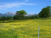 標高1300ｍの笹ヶ峰高原！森林セラピーでリフレッシュ！