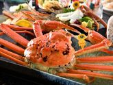 越前ガニ漁解禁は１１月６日！～皇室献上クオリティ・越前ガニ～