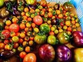 食にはストーリーがある。”エアルーム野菜”とトマト