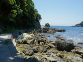 映画 天間荘の三姉妹　のんも三島由紀夫も歩いた和歌の浦遊歩道