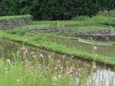 愛知県新城市の棚田が織りなす原風景に癒されたい！