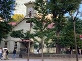 札幌弾丸食べ歩き